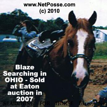 SEARCHING FOR HORSE Blaze, Near unknown, OH, 45011